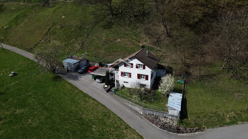 Ideale Rückzugsoase für Naturliebhaber (9)