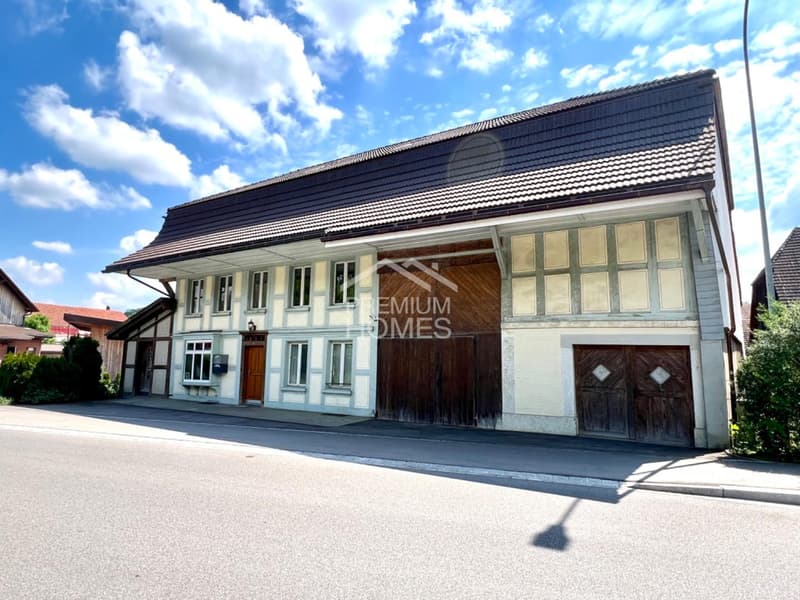 Vielseitiges Mehrfamilienhaus mit Ausbaupotenzial und bewilligter Erwe (1)