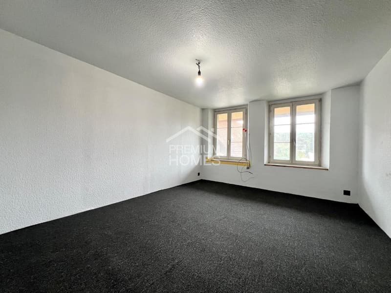 Vielseitiges Mehrfamilienhaus mit Ausbaupotenzial und bewilligter Erwe (6)