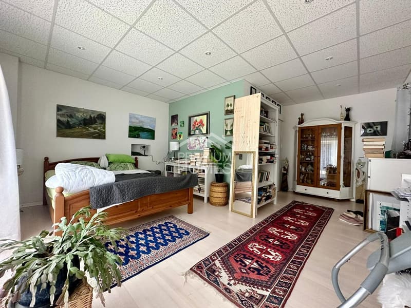Multi-family house with horse keeping and agricultural land (3)