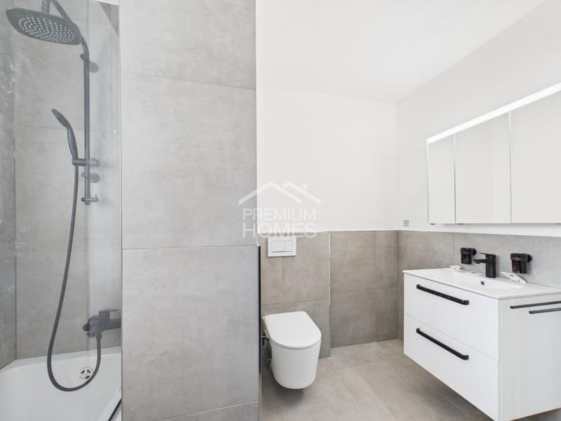 Sogno di casa ristrutturato - disponibile immediatamente (9)