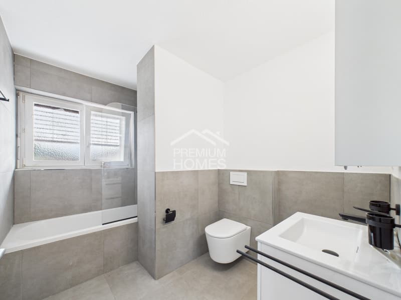 Renovated Dream Home - Available Immediately (5)