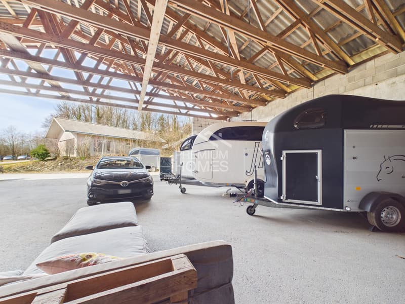 Reitsport auf höchstem Niveau - Ein Paradies für Pferd und Reiter! (11)