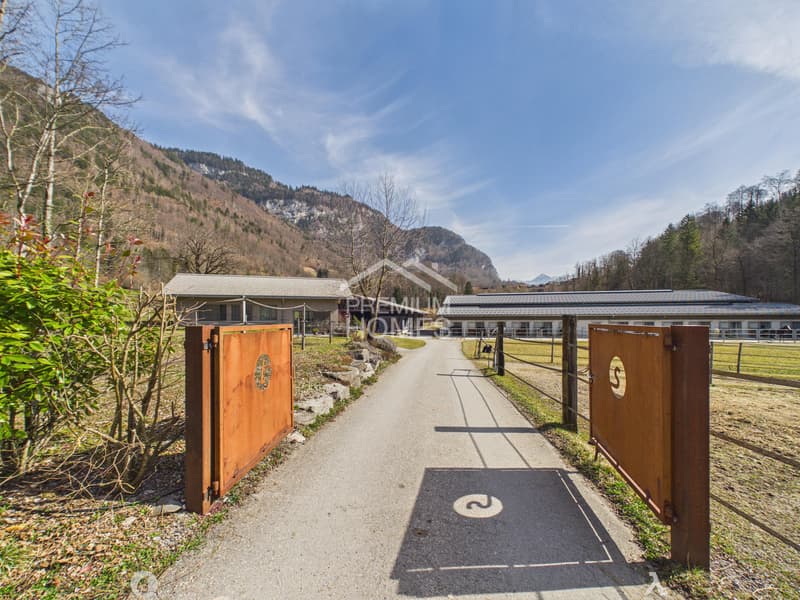 Reitsport auf höchstem Niveau - Ein Paradies für Pferd und Reiter! (7)