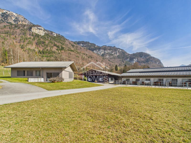 Reitsport auf höchstem Niveau - Ein Paradies für Pferd und Reiter! (8)