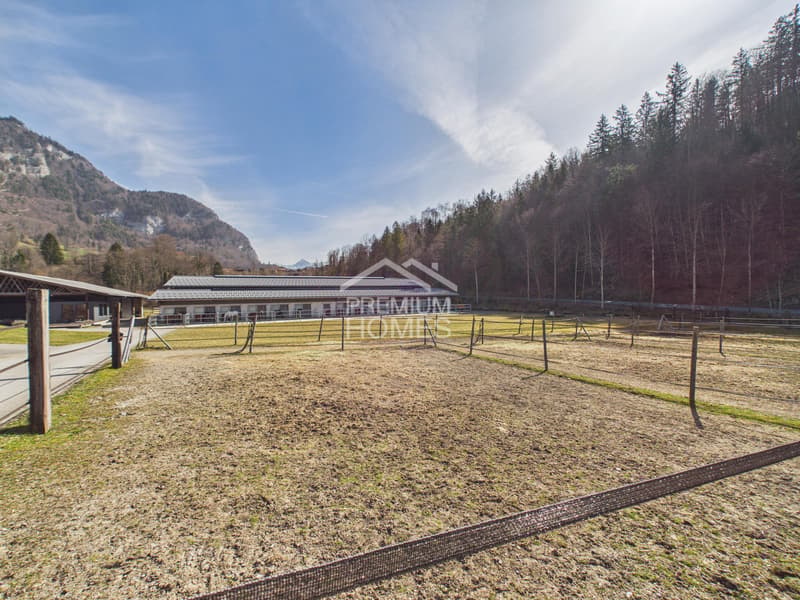 Reitsport auf höchstem Niveau - Ein Paradies für Pferd und Reiter! (10)