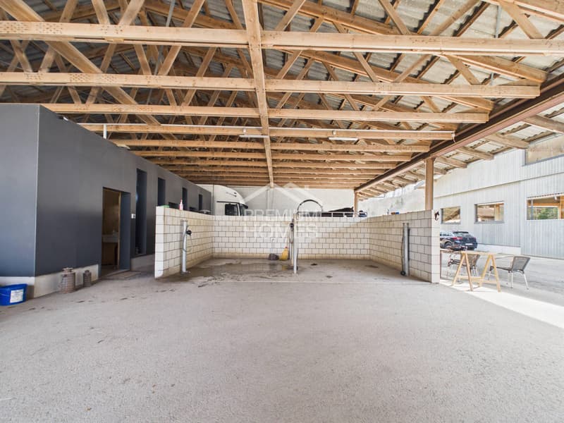 Reitsport auf höchstem Niveau - Ein Paradies für Pferd und Reiter! (12)
