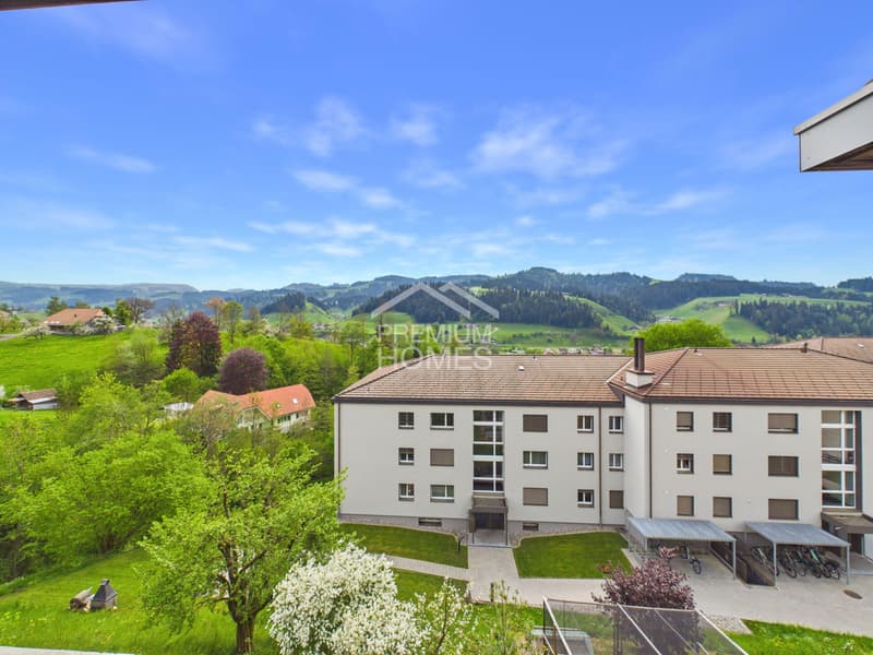 Vivere sopra i tetti dell'Emmental (2)