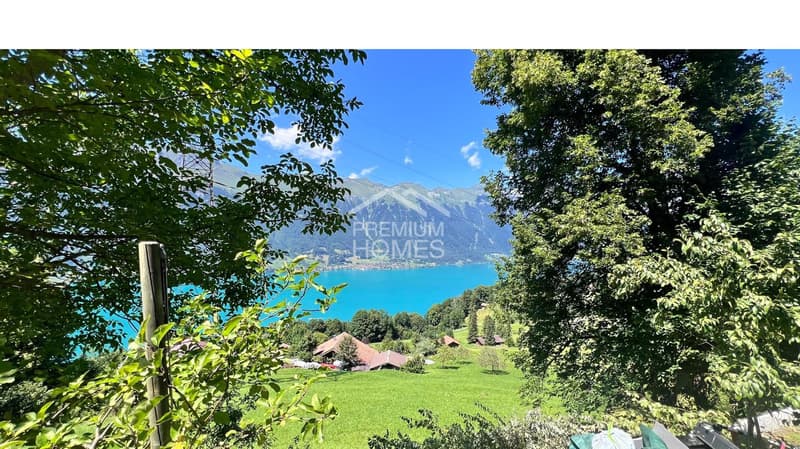La paix elle-même et aussi GRATUIT avec une vue ! (2)
