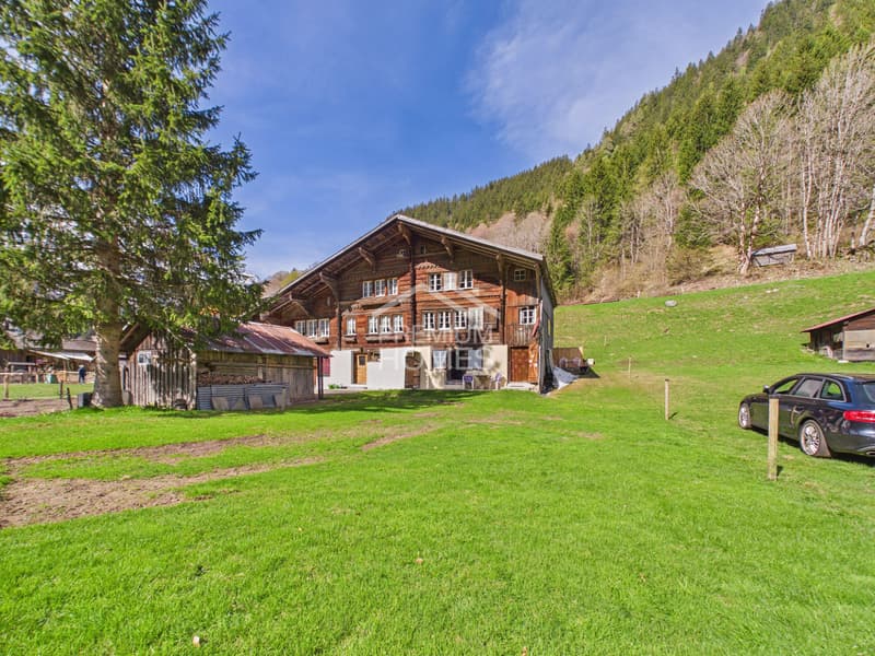 Aussicht - Lage - Qualität (1)