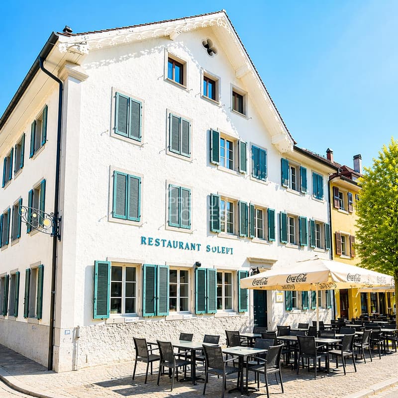 INVESTORS TAKE NOTE 7.1% GROSS RETURN IN MOUTIER (JU) (2)