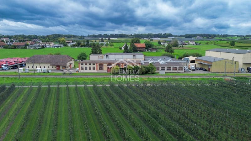 NEUER STANDORT FÜR ERFOLG AM BODENSEE (2)