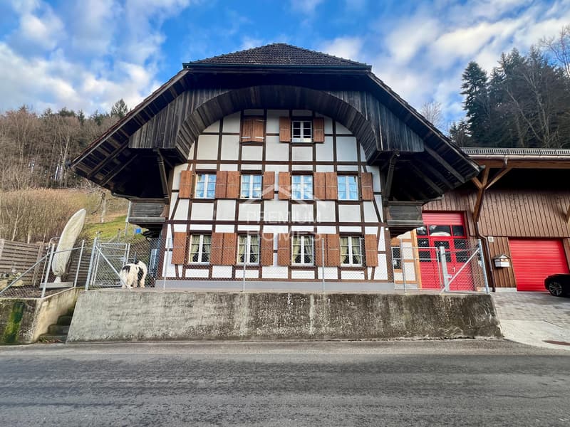 Grosszügiges Landhaus mit grosser Parzelle, Werkstatt & ideal für Tier (3)