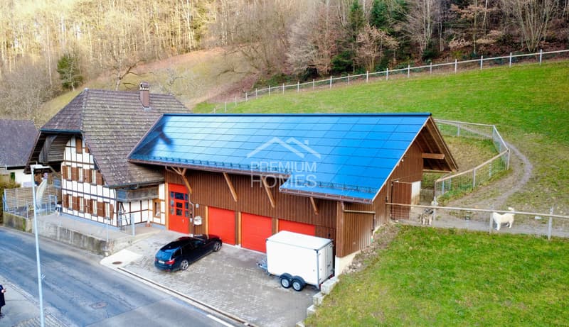 Grosszügiges Landhaus mit grosser Parzelle, Werkstatt & ideal für Tier (2)
