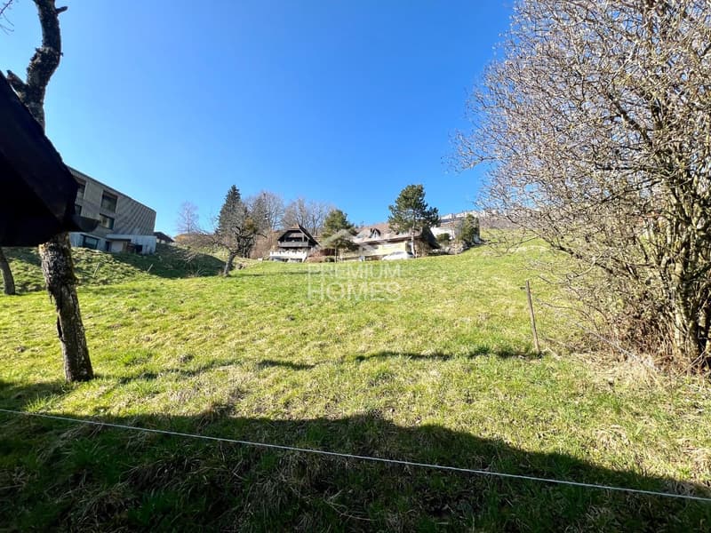 Rareté avec vue lointaine : MFH avec réserve de terrain à bâtir et vue sur la montagne (4)