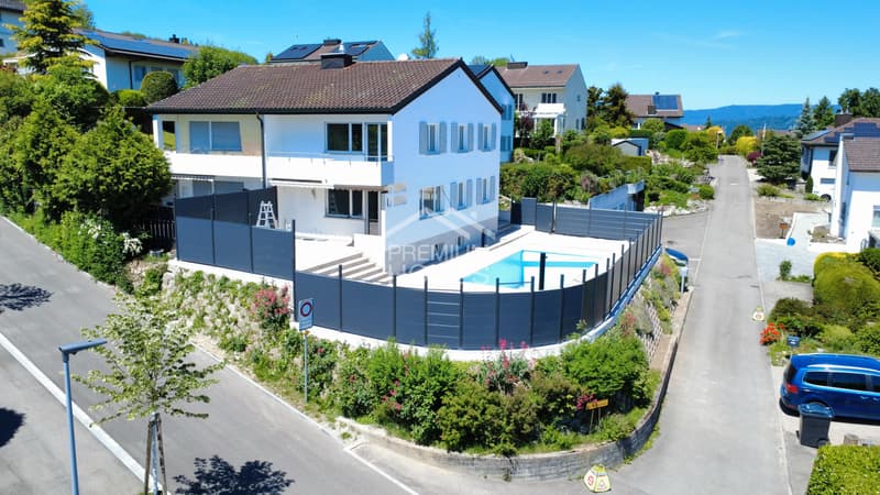 Saniert & mit Pool - Zürich ganz nah (4)