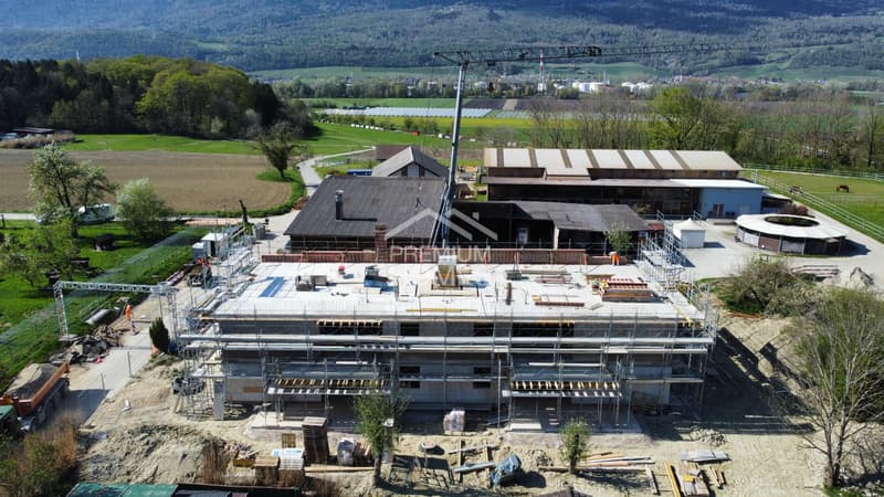 Résidences exclusives entre le lac de Bienne et le lac de Neuchâtel (7)