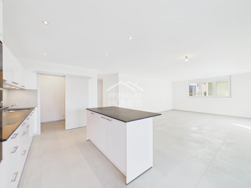Attique neuf avec superbe terrasse de 36 m² (6)