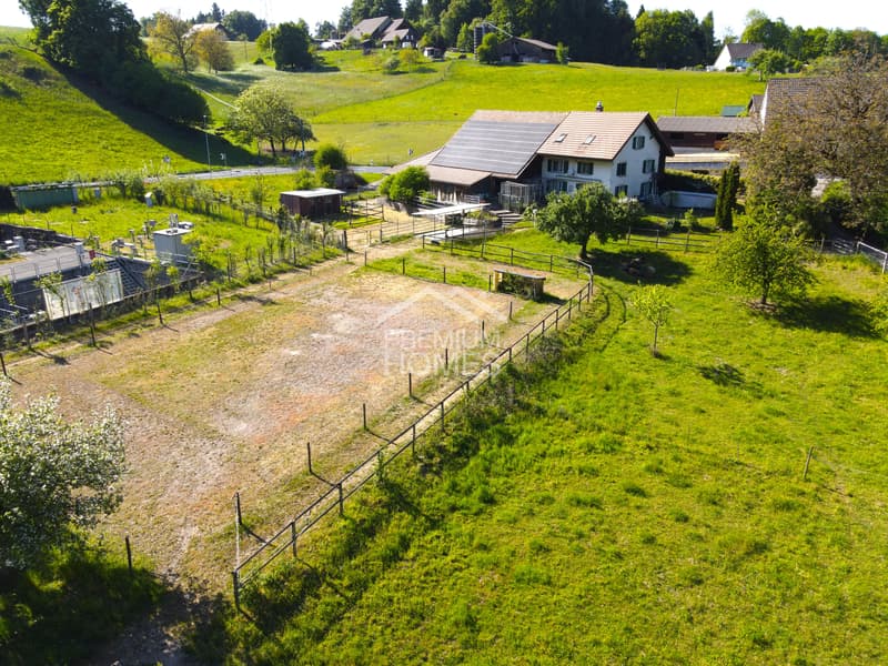 Ein Ort zum Leben, Lieben und Reiten (3)