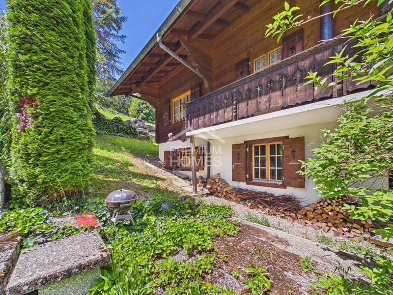 Ferienwohnung mit Aussicht, Charme und Komfort! (11)