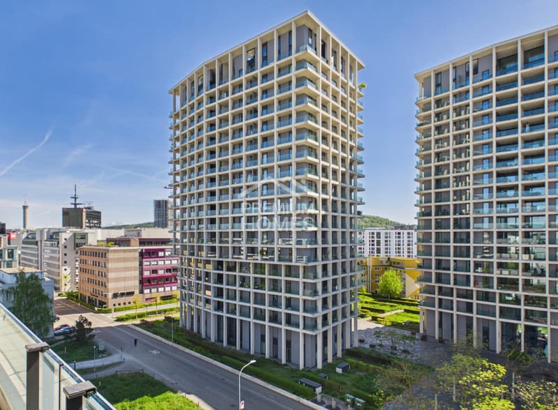 Own the Skyline in Oerlikon - Your Move! (5)