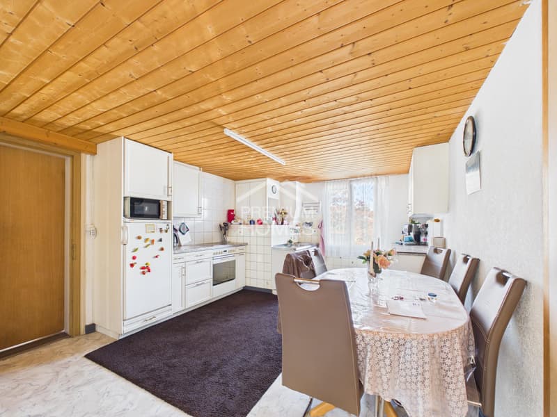 Einfamilienhaus mit Gewerbe mit grossem Potenzial! (6)