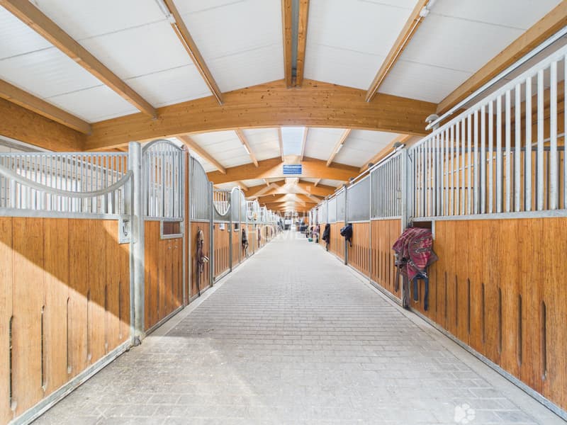 Professionelle Reitanlage mit 24 Boxen, Reithalle und Wohnhaus! (2)