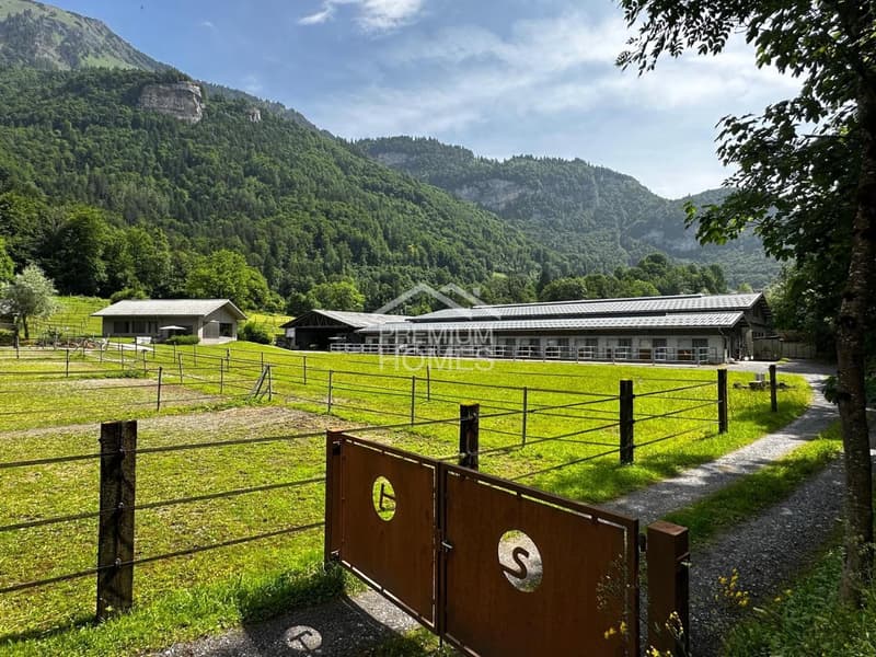 Professionelle Reitanlage mit 24 Boxen, Reithalle und Wohnhaus! (11)