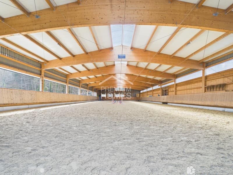 Professionelle Reitanlage mit 24 Boxen, Reithalle und Wohnhaus! (3)