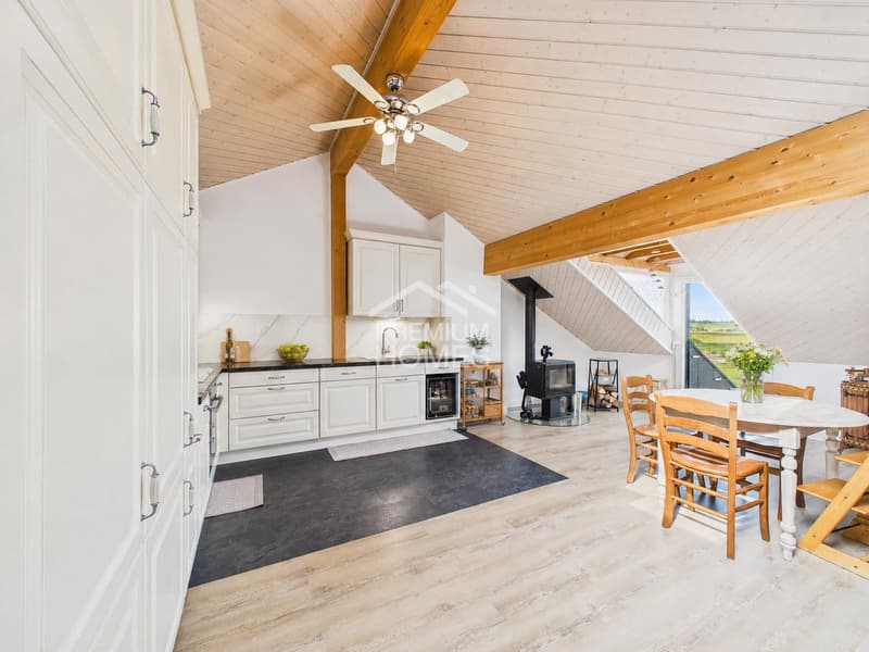 Appartement 4.5 pièces avec vue nature Chavannes-les-Forts (3)