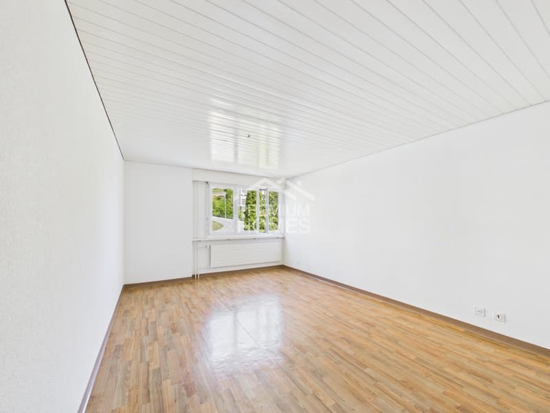 LICHDURCHFLUTETES FAMILIENPARADIES (6)