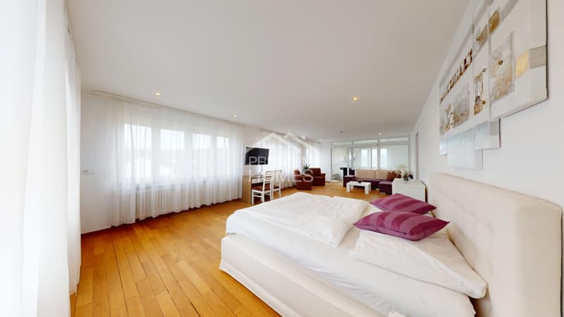 Investment im Herzen der Stadt Olten! (5)