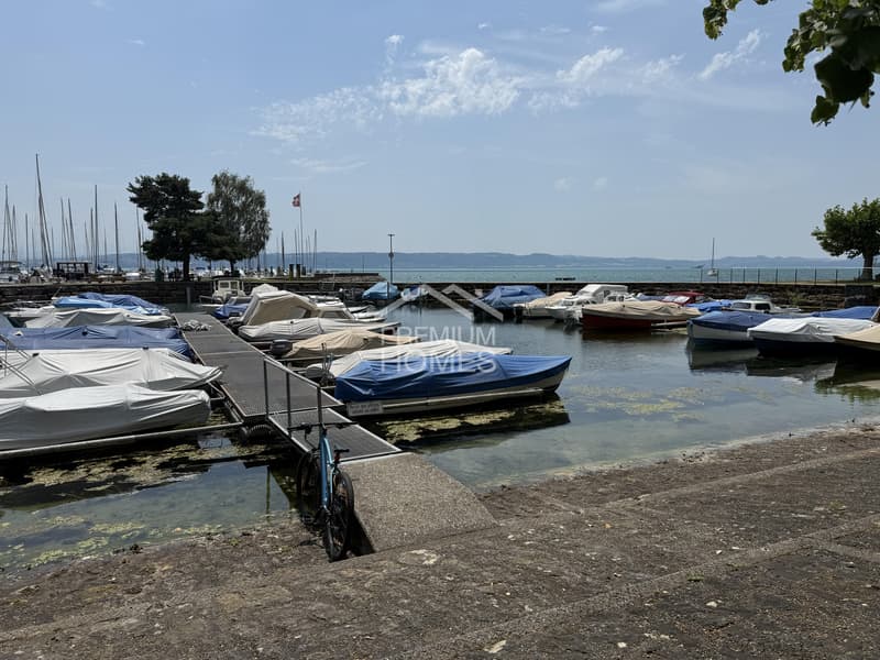 Entre lac, nature et architecture contemporaine (9)