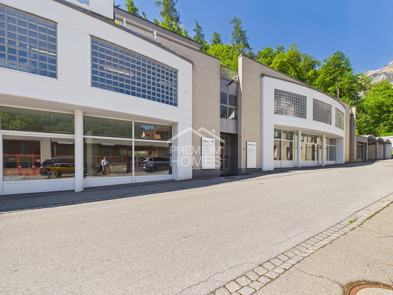 Gewerbefläche mit Showroom (2)