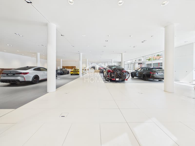 Gewerbefläche mit Showroom (5)
