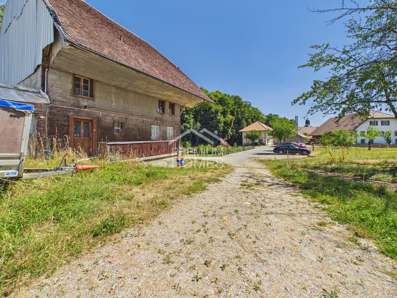 Charaktervolles Bauernhaus mit Entwicklungspotential (5)
