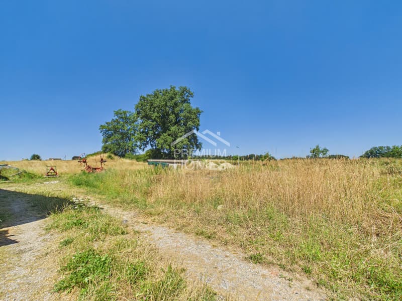Charaktervolles Bauernhaus mit Entwicklungspotential (4)