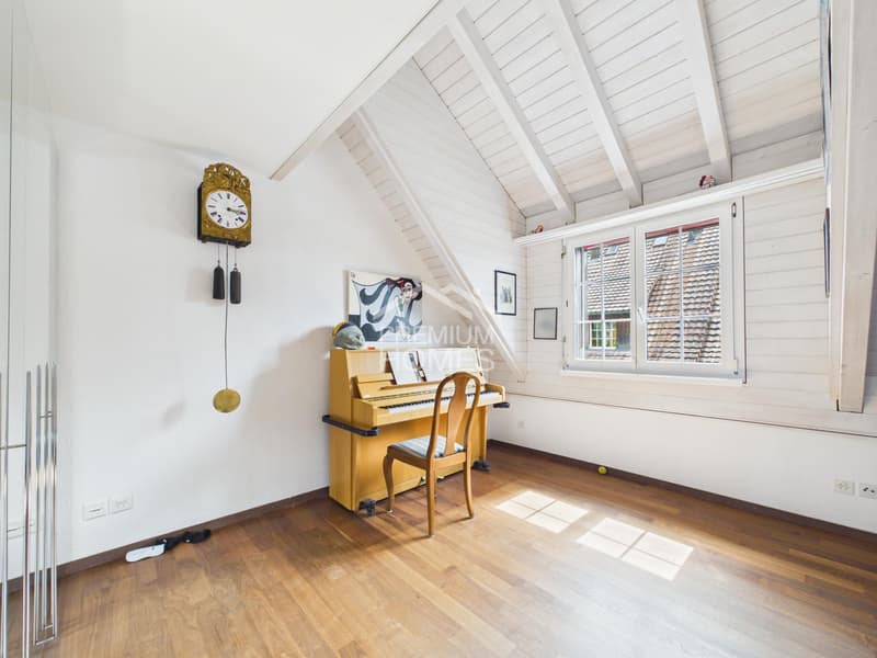 MAISONETTE DER BESONDEREN ART (10)