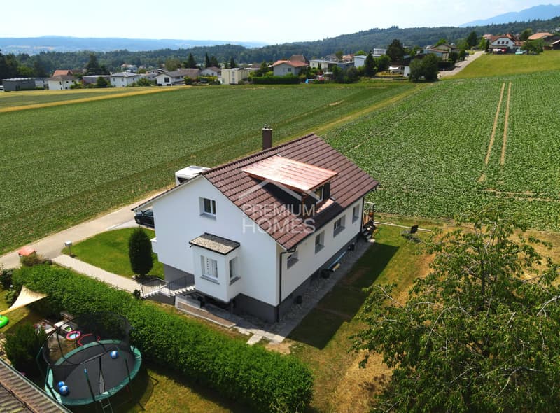 Saniertes Schmuckstück in ruhiger Bestlage (10)