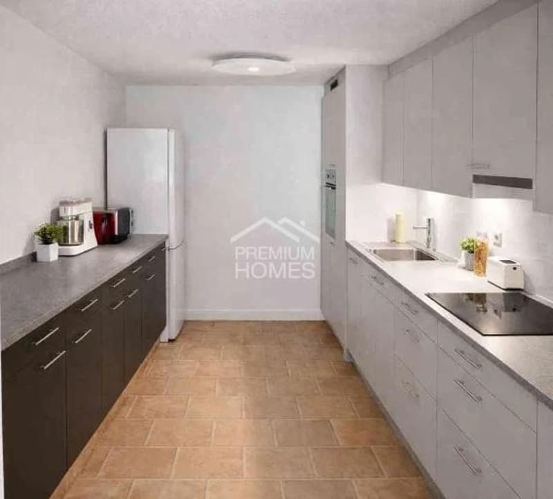 Modernes Wohnen in traditionellen Haus (6)