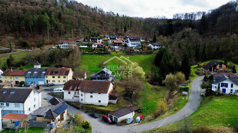 Grosses Bauland mit Entwicklungspotenzial (3)