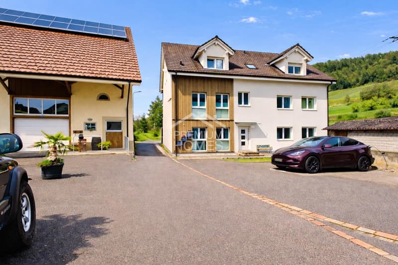 WOHNEN NEU ERLEBEN IN HORNUSSEN (2)