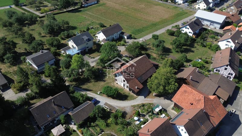 Wohnoase im Grünen - und doch zentral (2)