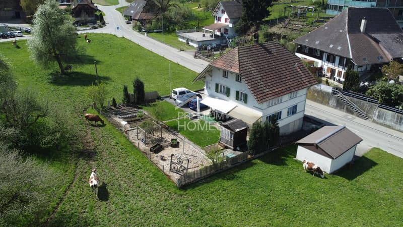 Das authentische Landleben! (1)