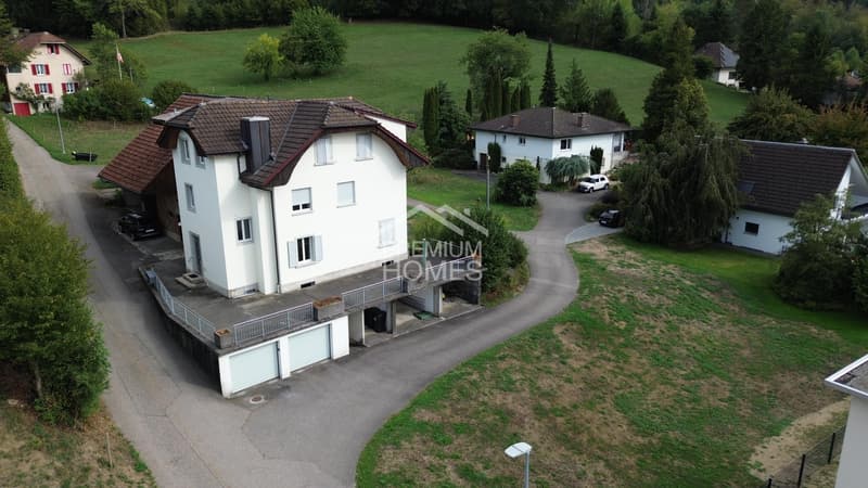 Saniertes Mehrfamilienhaus mit grossem Bauland & Entwicklungspotenzial (1)