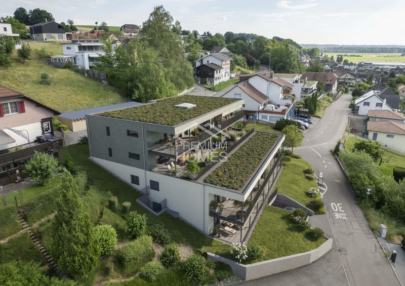 Neubau mit Weitblick - Wohnen, wo der Jura zum Greifen nah ist (2)