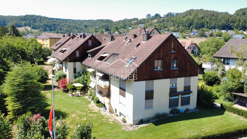 Charmante Duplex Dachwohnung (2)