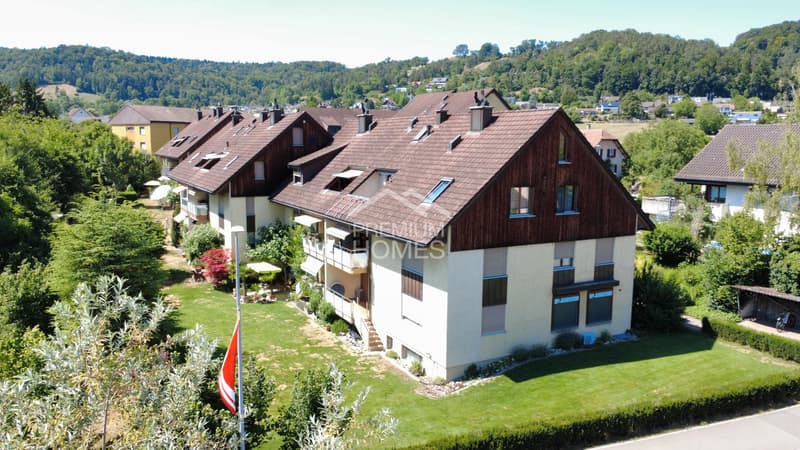 Charmante Duplex Dachwohnung (1)