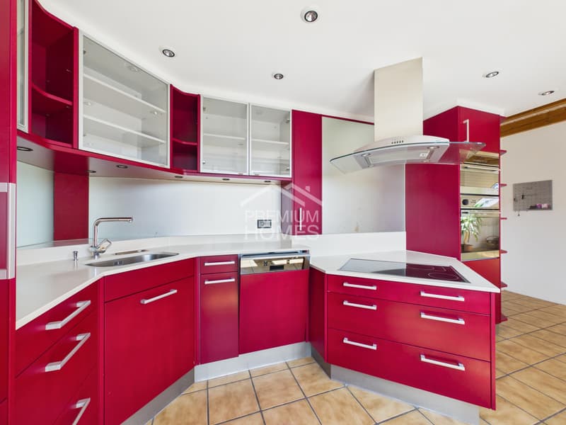Charmante Duplex Dachwohnung (9)