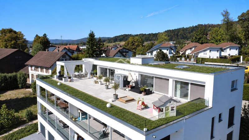 Exklusive Attika mit Feriengefühl & XXL-Terrasse (2)